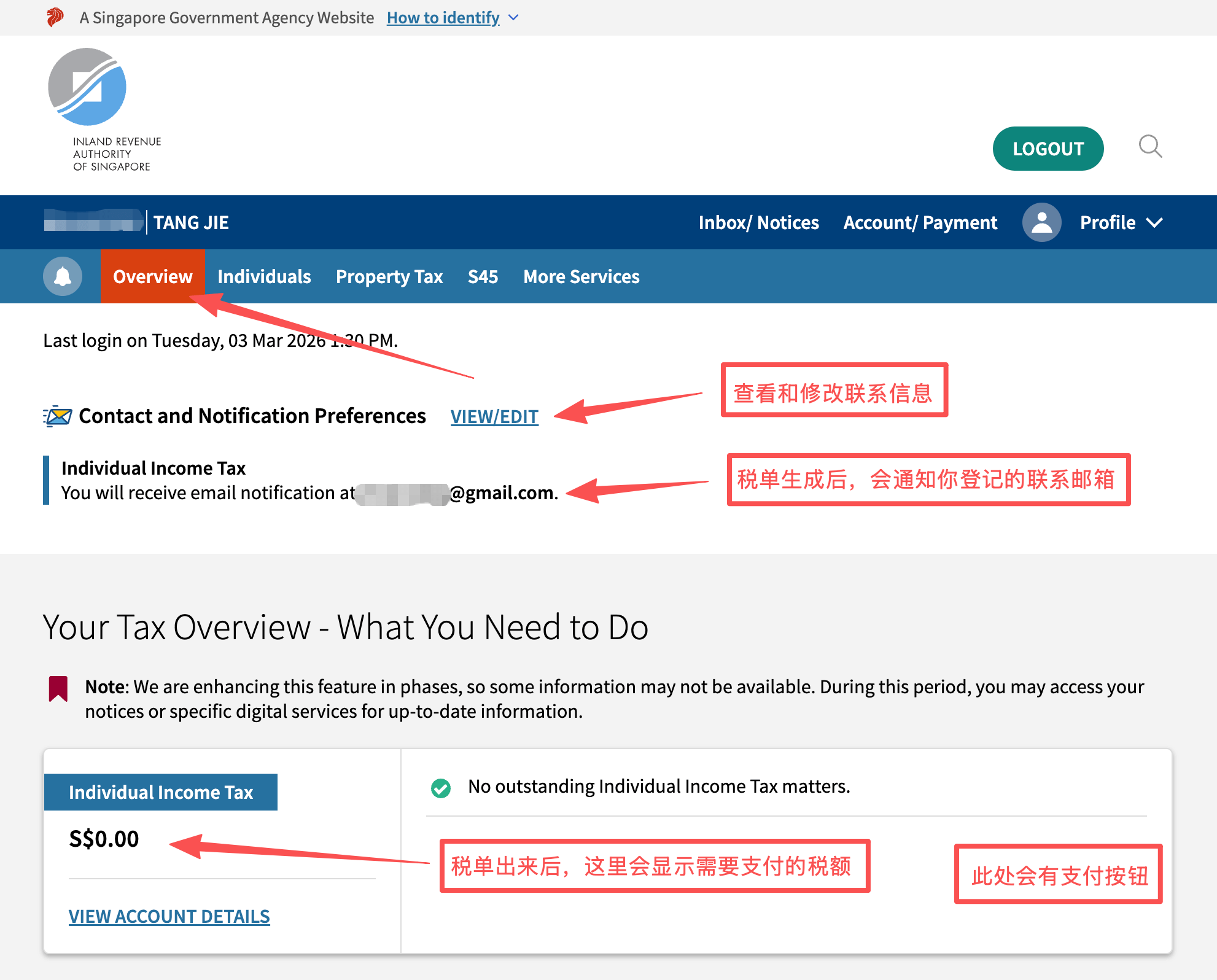 Individual Income Tax Filing Guide 2026