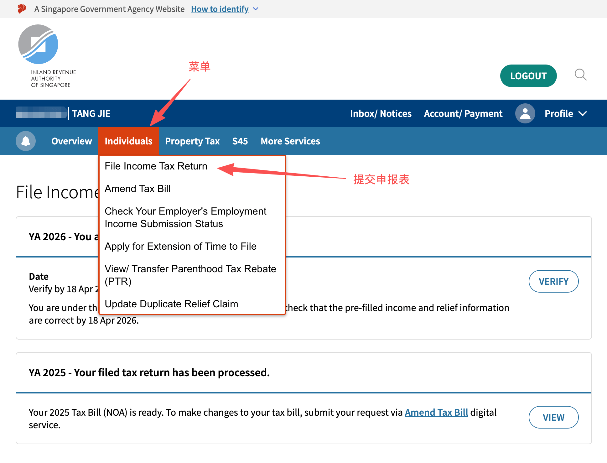 Individual Income Tax Filing Guide 2026