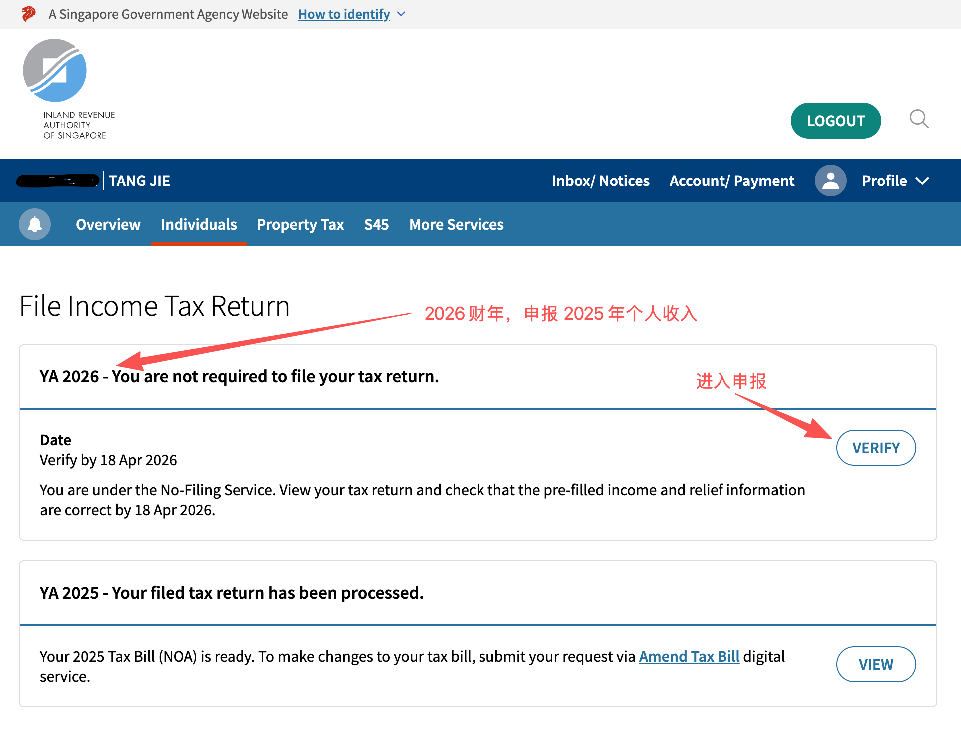 Individual Income Tax Filing Guide 2026