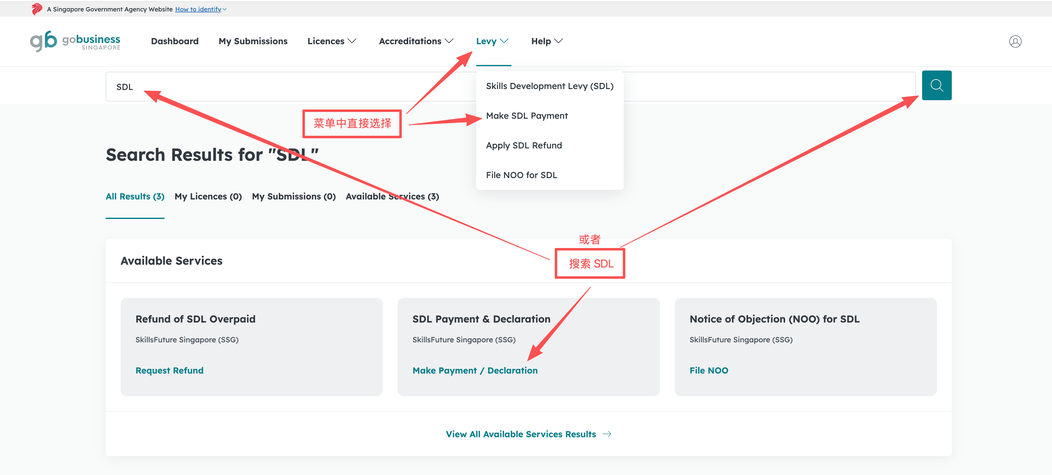 Skills Development Levy (SDL) Payment Guide